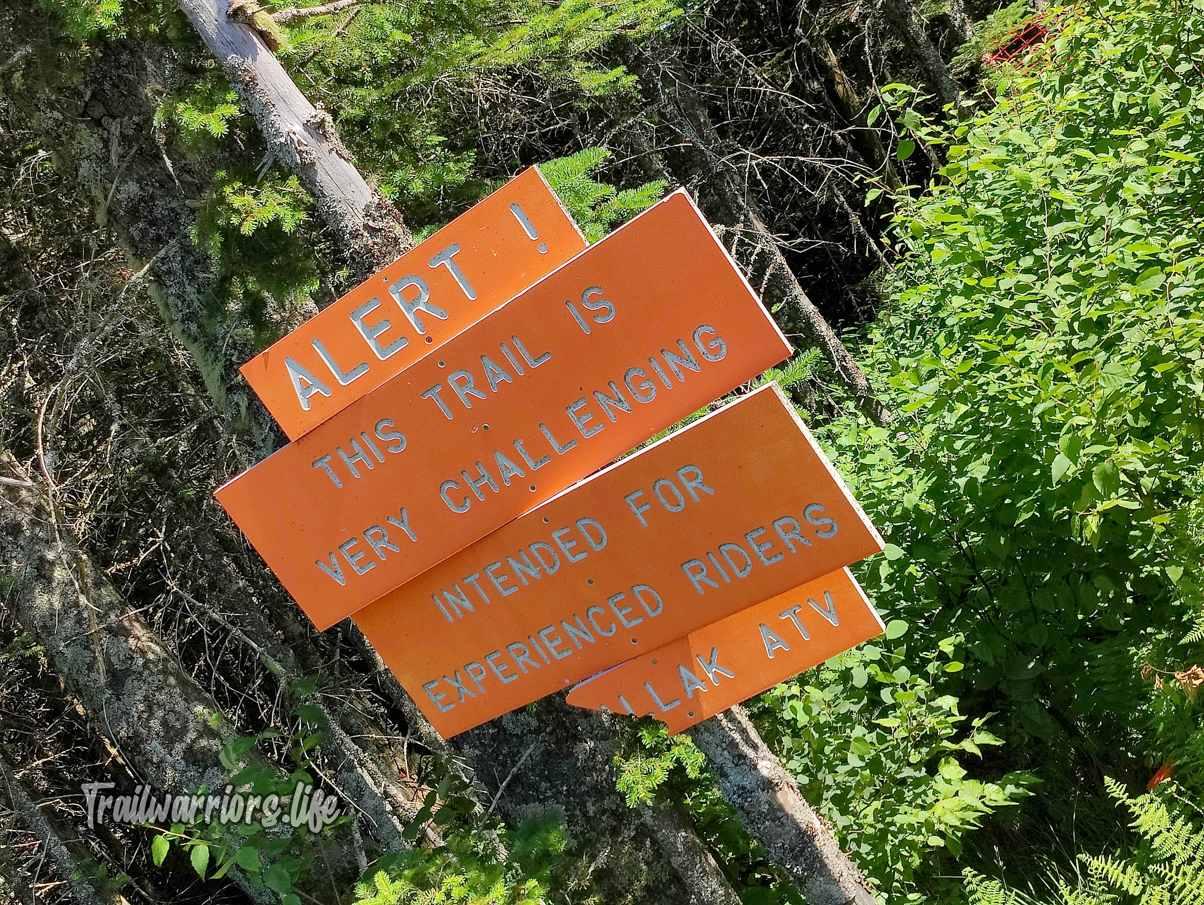 Ride The Wilds NH trail system signs