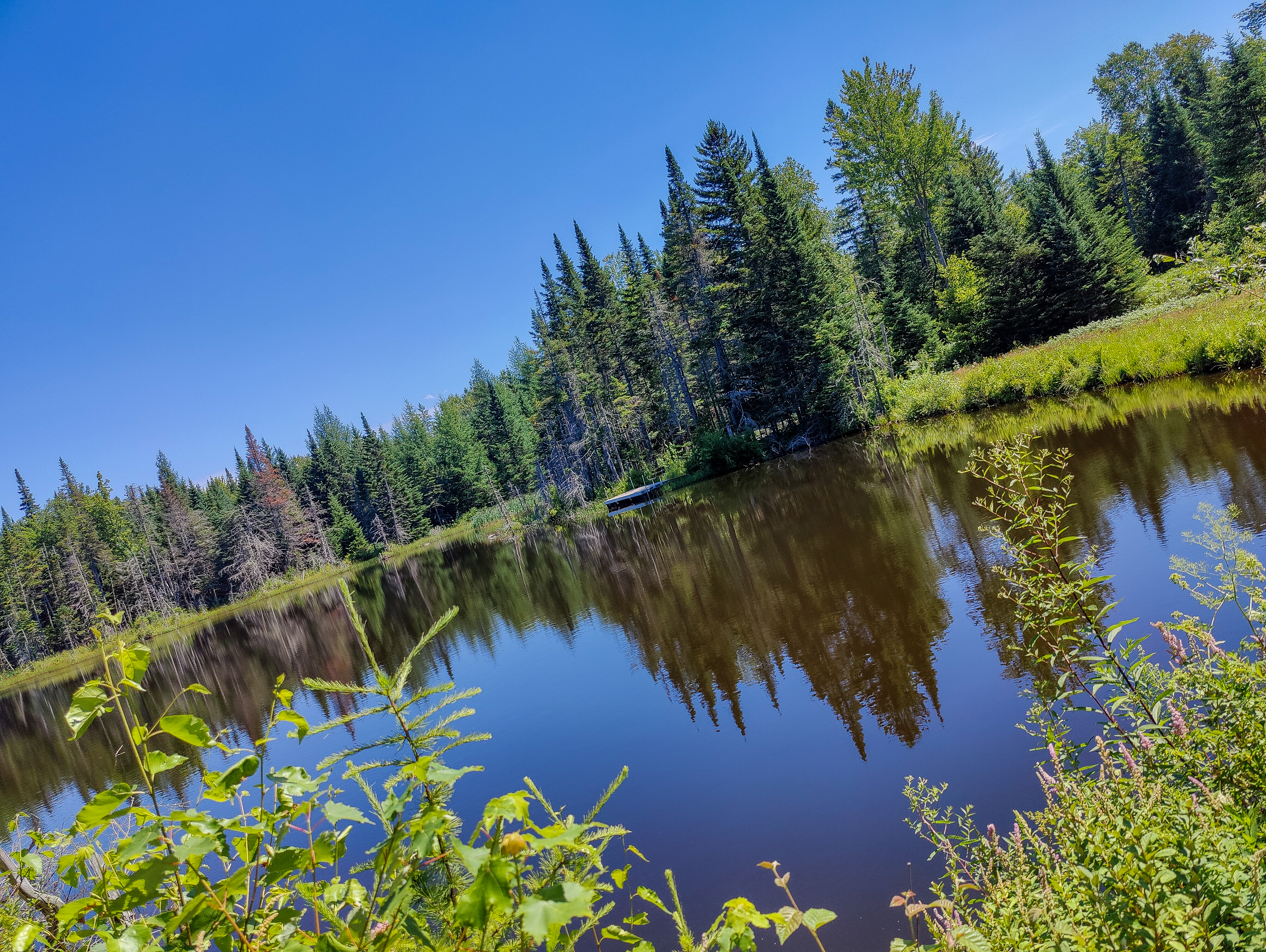 Random pond Ride The Wilds NH Summer 2022